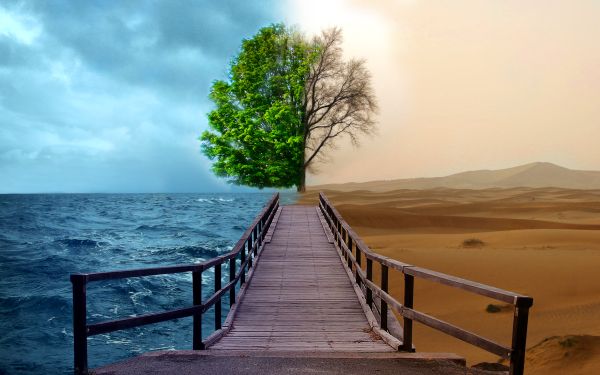 0.environment_conservation_6bjrd.jpg